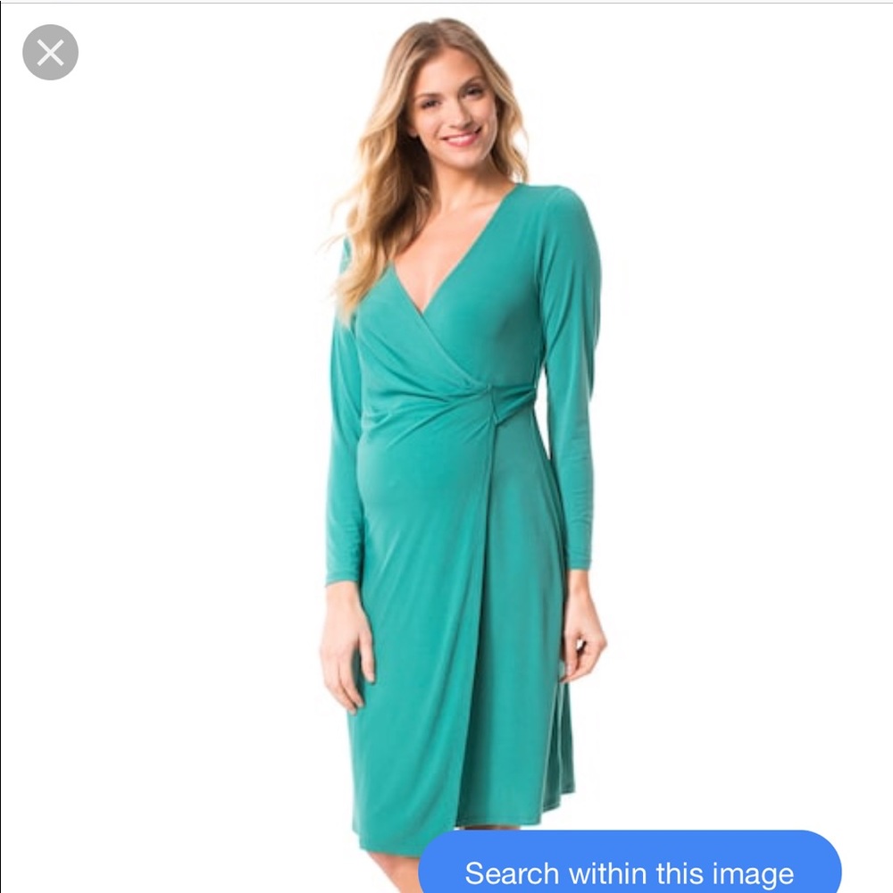 Pip & Vine by Rosie Pope Wrap Dress maternity